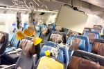 Singapore Airlines, Singapore Airlines turbulence horror accident, singapore airlines statement after turbulence horror, Singapore airlines turbulence