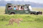 South African Safari Trip total video, South African Safari Trip breaking, how to plan your south african safari trip, Big
