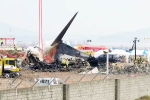 South Korea Plane Crash, South Korea Plane Crash new updates, pilot made mayday call and mentioned bird strike in south korea plane crash, Runway