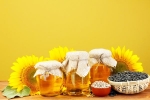 Sunflower Oil doctors, Sunflower Oil consumption, long term effects of consuming sunflower oil on heart health, Consumer