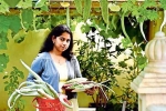 nris in farming, jyothy, this nri in qatar keen on farming is going green, B m kutty