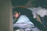 food for good sleep, food for good sleep, are you a night owl this one trick can help advance sleep time by 2 hours, Sleeping tips