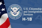 USICS latest report, USICS report on Indians, uscis report claims more than 74 percent of indians accounted on h1b visas, Usics report