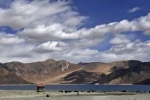 China, Pangong Lake, india orders china to vacate finger 5 area near pangong lake, Envoy