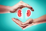 World Kidney Day 2025 health, World Kidney Day 2025 theme, world kidney day 2025 theme and health tips, Us experts