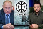 Russia economy, World Bank breaking news, world bank about the economic crisis of ukraine and russia, Essentials