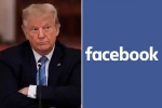 Donald Trump Facebook ban, Donald Trump Facebook ban, facebook bans donald trump for 2 years, Protocols
