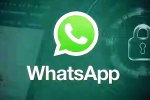 iOS Testing Multi-Account Support for WhatsApp breaking, iOS Testing Multi-Account Support for WhatsApp breaking news, whatsapp for ios testing multi account support, Screenshot