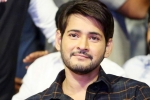mahesh babu wife, actor mahesh babu, actor mahesh babu s bank accounts frozen by gst dept over tax dues, Jayapradha