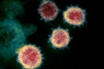 Mu variant updates, Mu variant traces, one more new variant of coronavirus traced in columbia, South america