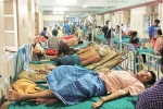dengue mosquito, iron deficiency treatment food, people with low iron levels in blood likely to transmit dengue, Dengue fever dengue mosquito, iron deficiency treatment food, people with low iron levels in blood likely to transmit dengue, Dengue fever