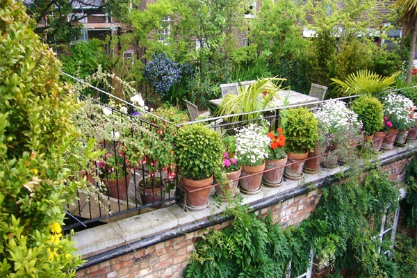 Create a Rooftop Gardening },{Create a Rooftop Gardening 