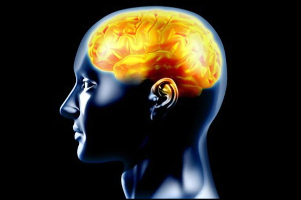Indian-led team’s breakthrough brain development research },{Indian-led team’s breakthrough brain development research