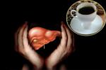Coffee in protecting Livers, Hepatic Cancer treatment, coffee consumption helps in protecting boozers livers, Coffee benefits