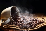 Coffee Adulteration latest, Coffee Adulteration real, is coffee adulteration real, Vietnam