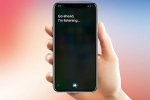 how to activate siri on iphone 7, siri on iphone, apple reveals its contractors are regularly listening to your conversations with siri, Apple iphones 5s how to activate siri on iphone 7, siri on iphone, apple reveals its contractors are regularly listening to your conversations with siri, Apple iphones 5s