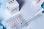 reinfection, researchers, studies find the incidence of covid 19 reinfection is low, Monkeys