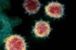 Coronavirus latest, Coronavirus USA, face covid 26 and covid 32 warns experts, Coronavirus origin Coronavirus latest, Coronavirus USA, face covid 26 and covid 32 warns experts, Coronavirus origin