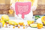 Better Gut Health new breaking, Better Gut Health latest, quick and easy drinks for better gut health, Vinegar