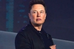 Elon Musk, Elon Musk news, elon musk talks about cage fight again, Snacks