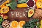 Fibre is the Most Underrated Nutrient for your Gut