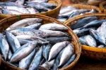 Fish advantages, Fish for hair loss, eat this fish twice a week to stop hair loss, Cancer