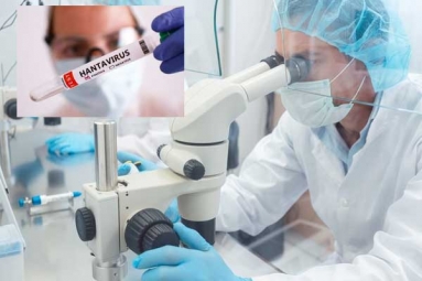 Hantavirus Scientists Were Close to Vaccine Hantavirus Scientists Were Close to Vaccine