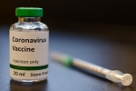 coronavirus, vaccine, immunity through covid vaccine may not last for too long uk study, Remdesivir coronavirus, vaccine, immunity through covid vaccine may not last for too long uk study, Remdesivir