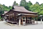 Japan Viral Mikami Shrine viral, Japan Viral Mikami Shrine viral, why are travellers flocking to japan s viral mikami shrine, Death Japan Viral Mikami Shrine viral, Japan Viral Mikami Shrine viral, why are travellers flocking to japan s viral mikami shrine, Death