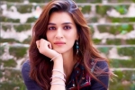Varun Dhawan, Entertainment, kriti sanon tested positive for covid 19, Neetu kapoor Varun Dhawan, Entertainment, kriti sanon tested positive for covid 19, Neetu kapoor