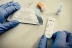 Antibodies tested on monkeys, Dr Dan Barouch, monkeys get protection against coronavirus through a prototype vaccine, Monkeys