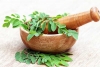 Is Moringa a Must-Have in your Diet? Is Moringa a Must-Have in your Diet?