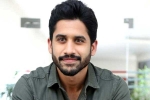 Naga Chaitanya films, Naga Chaitanya upcoming movies, naga chaitanya coming up with a strong lineup of films, Soggade chinni nayana