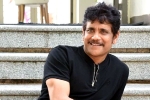 Nagarjuna 100th film, Nagarjuna upcoming projects, nagarjuna s 100th film will be a multi starrer, Nagarjuna 100th film