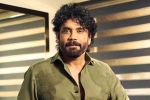 Nagarjuna Personal Rights updates, Nagarjuna Personal Rights latest breaking, delhi high on nagarjuna s personal rights, Amitabh bachchan Nagarjuna Personal Rights updates, Nagarjuna Personal Rights latest breaking, delhi high on nagarjuna s personal rights, Amitabh bachchan