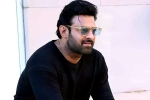 Prabhas25 announcement date, Prabhas25 announcement date, prabhas to offer a new treat for his fans, Prabhas25