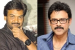 Krish, Venkatesh updates, puri jagannadh to direct venkatesh, Babu bangaram