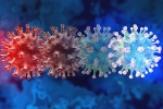 new coronavirus variant, C.1.2 variant, latest coronavirus variant evades vaccine protection, New covid variant