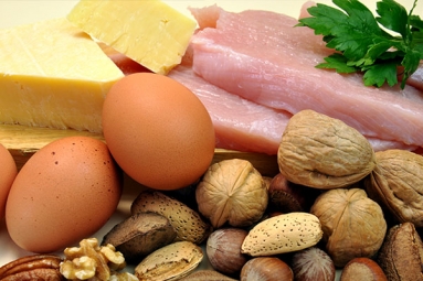 Why Protein is an important part of your healthy diet?