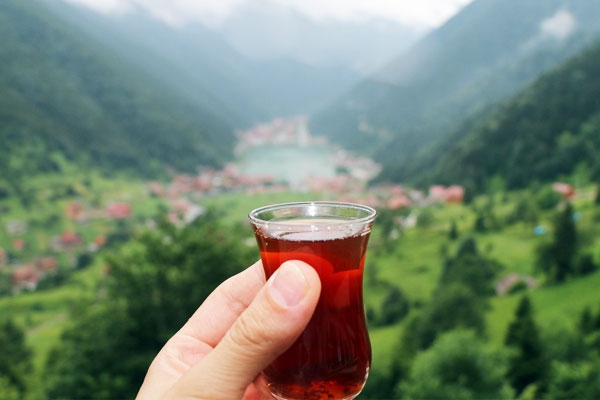 International Tea Day 2025: Facts and Significance